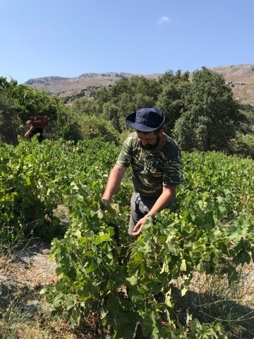 Η Ομάδα Αμπελουργών