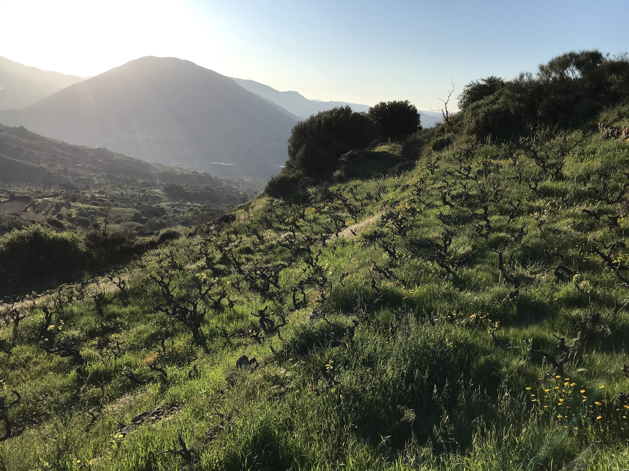 Fourfouras — at the foot of Psiloritis