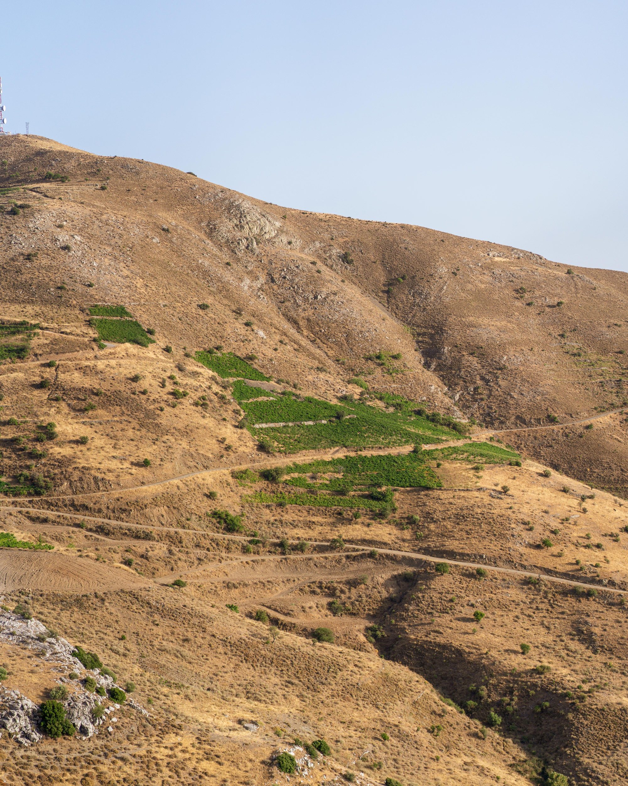 Mélambes — high on Mount Vouvala